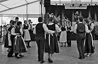Das Weinlesefest in Soroksár früher und heute Das Weinlesefest in Soroksár früher und heute