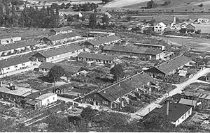 NACH DEM KRIEGSENDE 1945 HABEN DIE SIEGERMÄCHTE BESCHLOSSEN, DIE DEUTSCHEN AUS IHRER HEIMAT ZU VERTREIBEN NACH DEM KRIEGSENDE 1945 HABEN DIE SIEGERMÄCHTE BESCHLOSSEN, DIE DEUTSCHEN AUS IHRER HEIMAT ZU VERTREIBEN